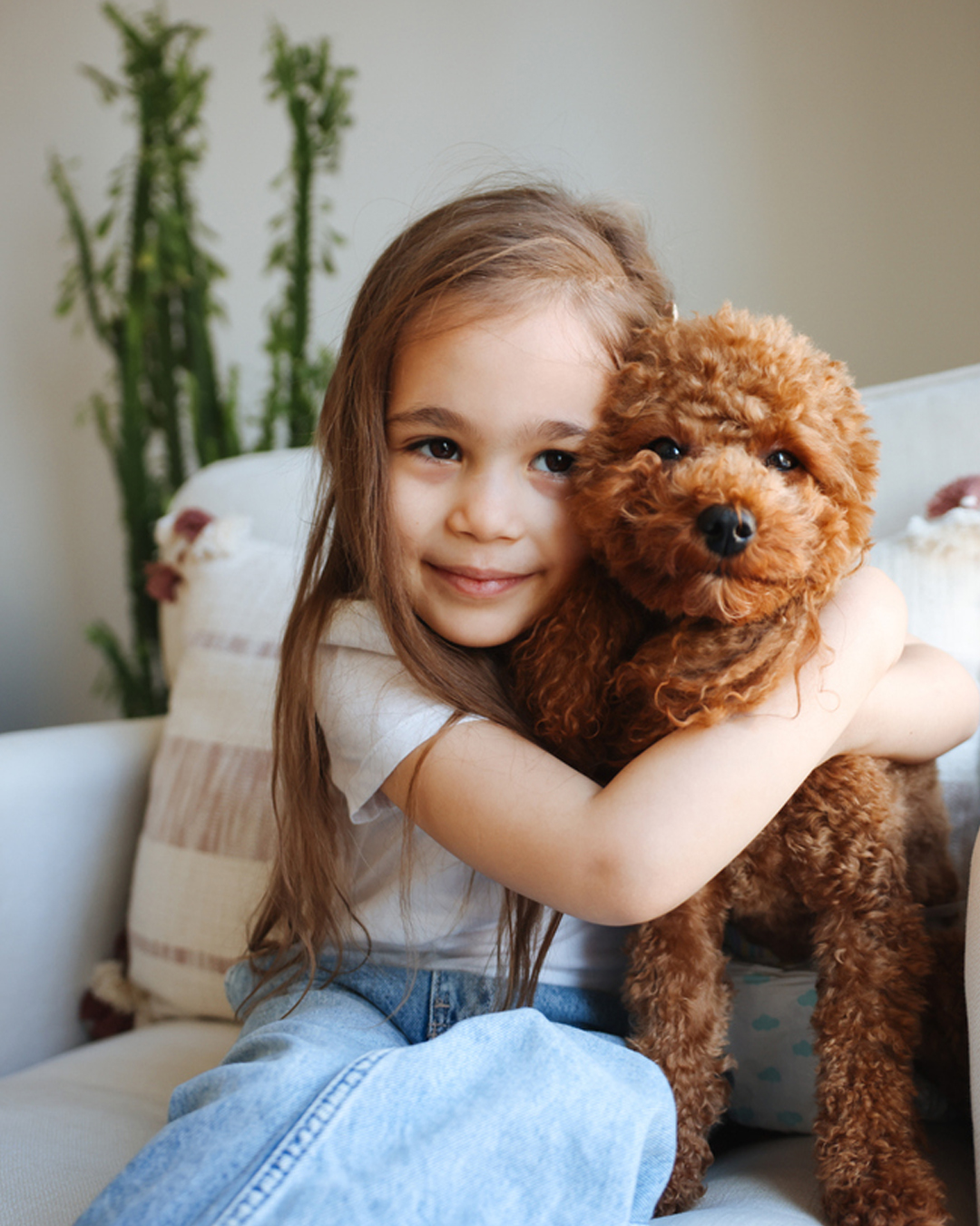 Indigo Star Healing Gold Coast Our services - Remote healing, Pet healing, Children and families, Coaching and counselling
